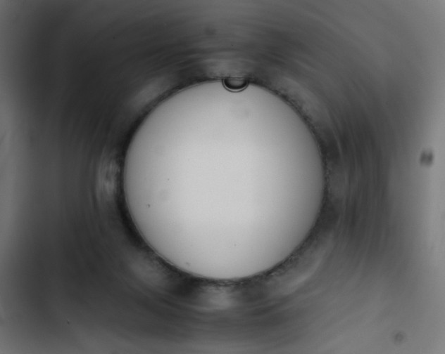 X0000103940071200809261735