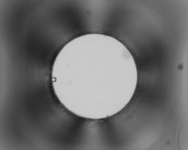 X0000103940072200809261735