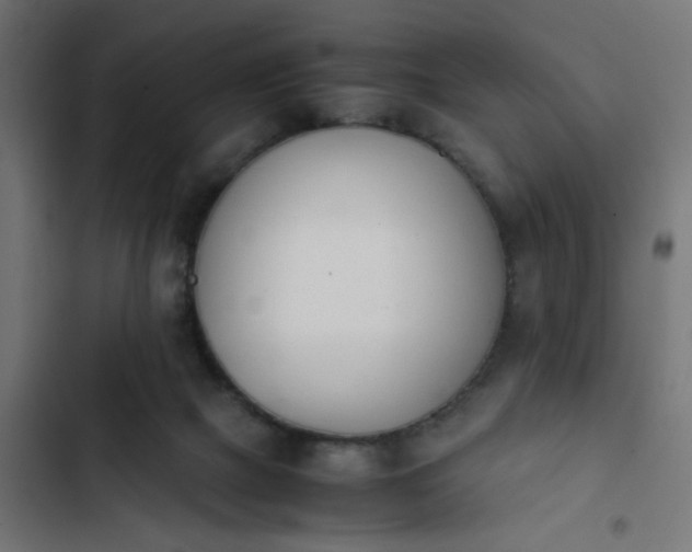 X0000103940073200809261735