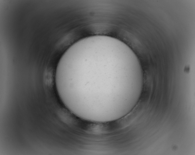 X0000103940074200809261735