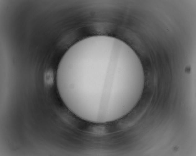 X0000103940075200809261735