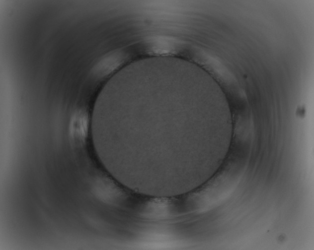 X0000103940076200809261735