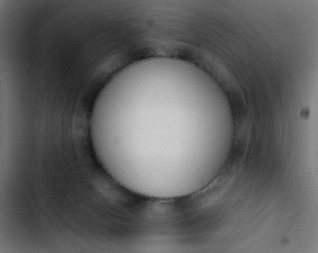 X0000103940078200809261735