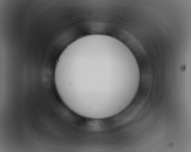 X0000103940079200809261735