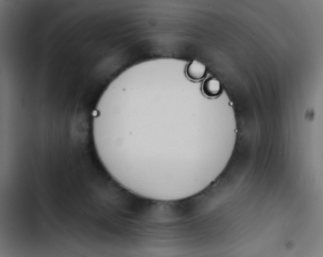 X0000103940080200809261735