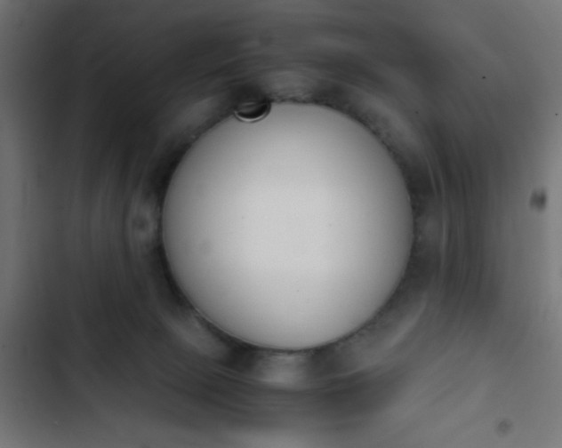 X0000103940081200809261735