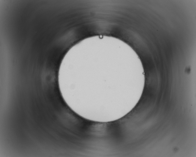 X0000103940084200809261735