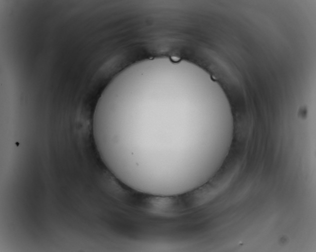 X0000103940085200809261735