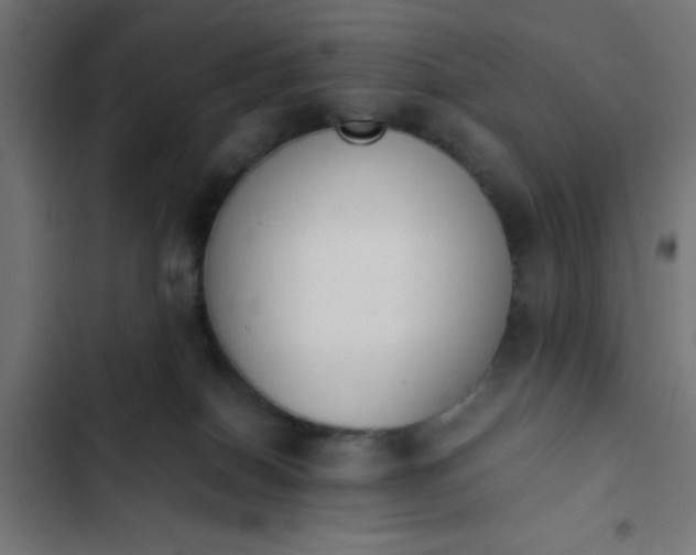 X0000103940086200809261735