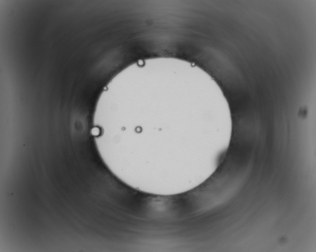 X0000103940088200809261735