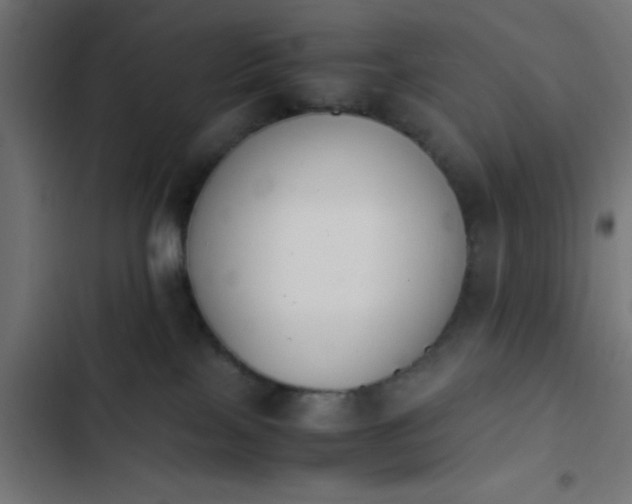 X0000103940089200809261735