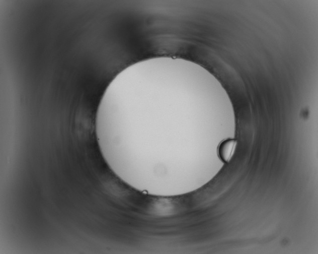 X0000103940091200809261735