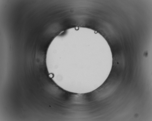 X0000103940092200809261735