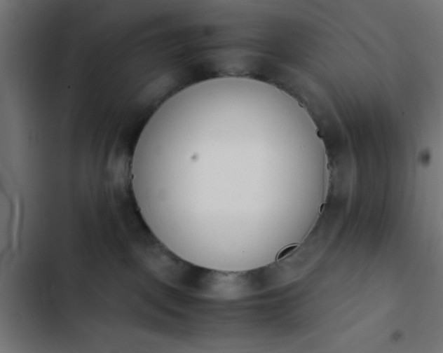 X0000103940093200809261735