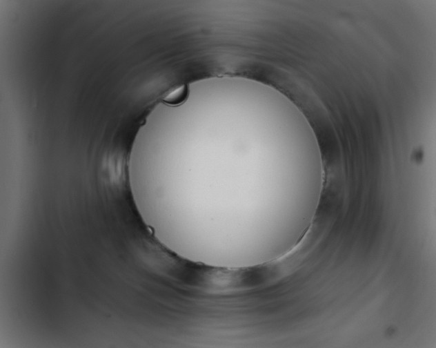 X0000103940094200809261735