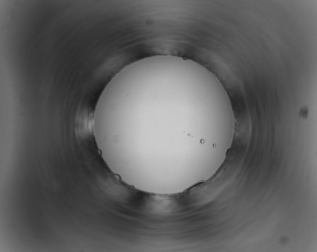 X0000103940095200809261735