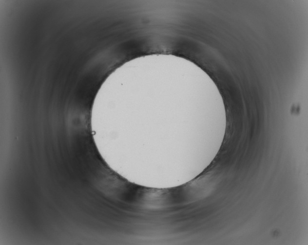 X0000103940096200809261735