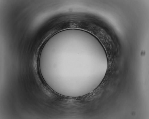 X0000103940098200809261734