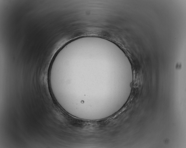 X0000103940099200809261734