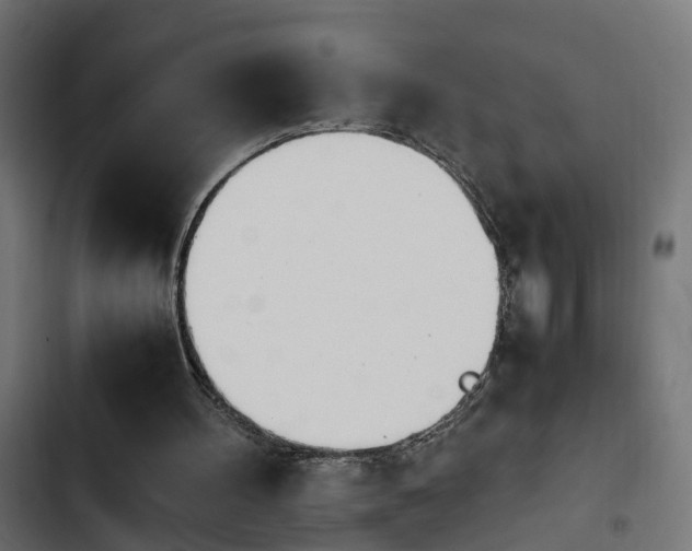 X0000103940100200809261734