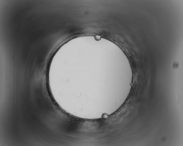 X0000103940101200809261734