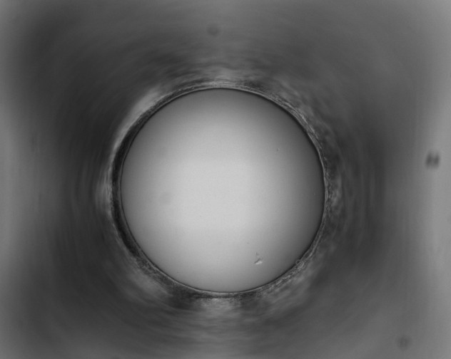 X0000103940102200809261734