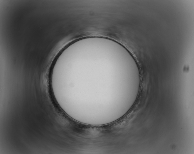 X0000103940103200809261734