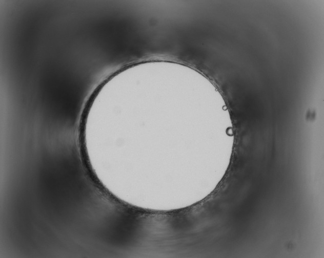 X0000103940104200809261734