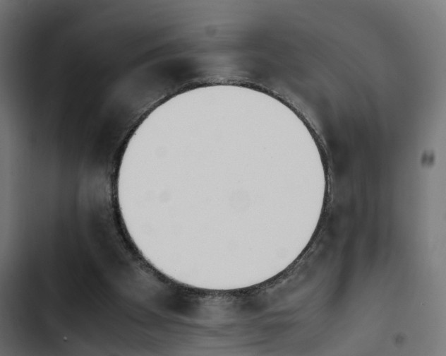 X0000103940105200809261734