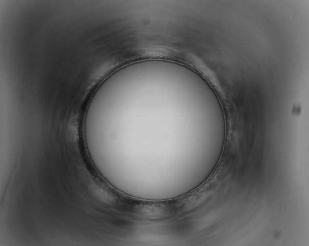 X0000103940106200809261734