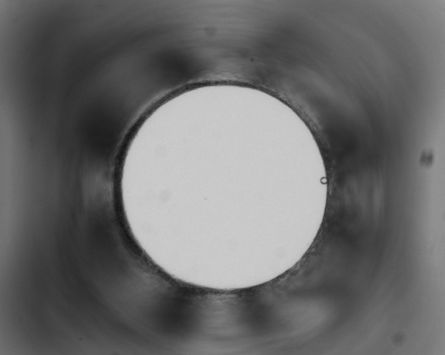 X0000103940108200809261734