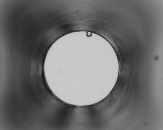 X0000103940109200809261734