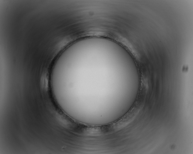 X0000103940110200809261734