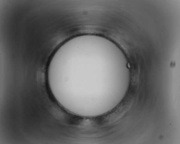 X0000103940111200809261734