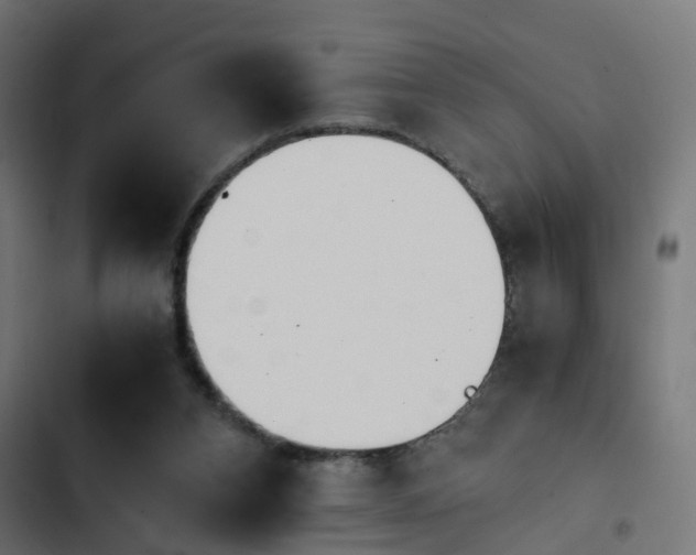 X0000103940112200809261734