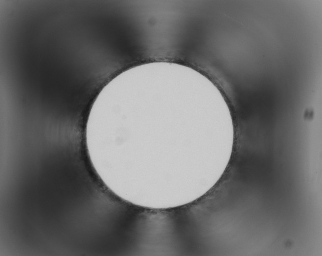 X0000103940113200809261734