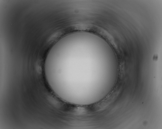 X0000103940114200809261734