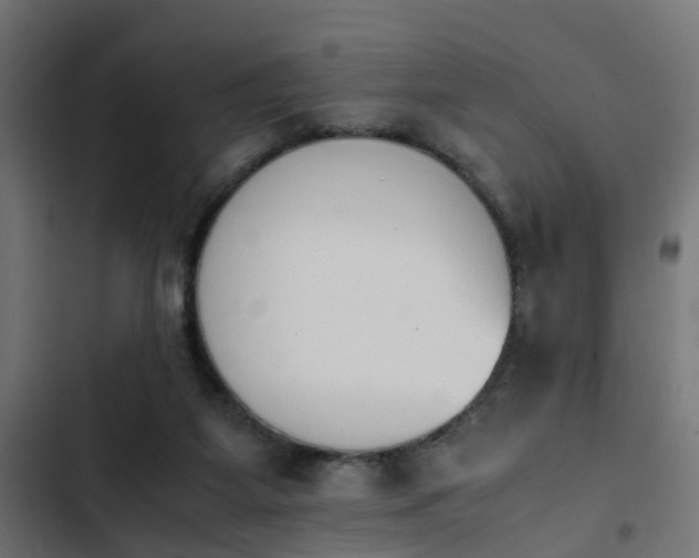 X0000103940115200809261734