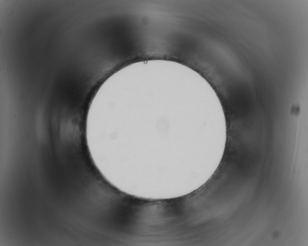 X0000103940116200809261734