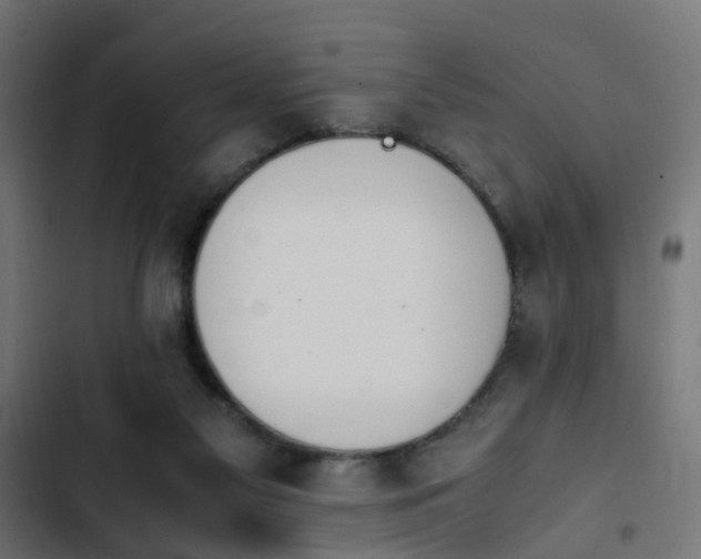 X0000103940117200809261734