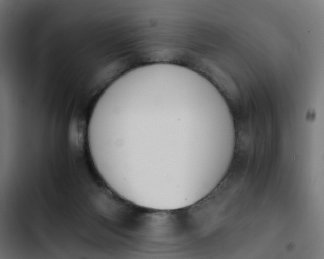 X0000103940118200809261734