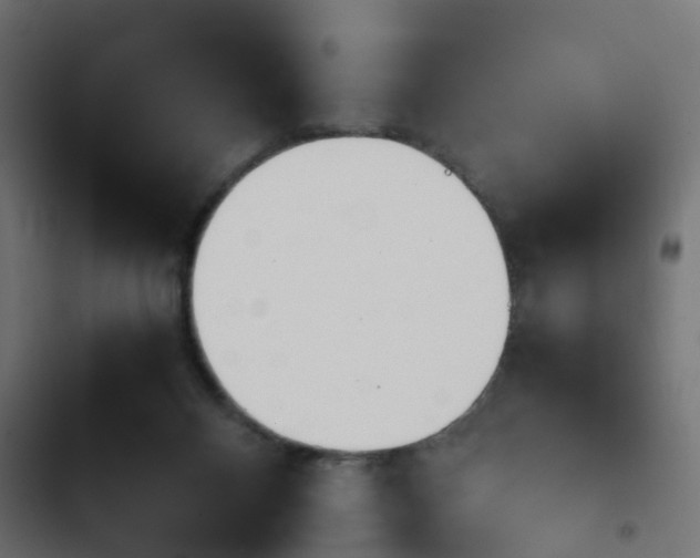 X0000103940120200809261734