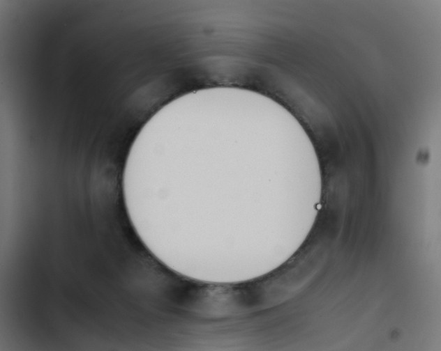 X0000103940121200809261734