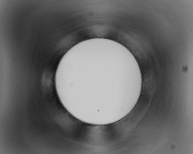 X0000103940122200809261734