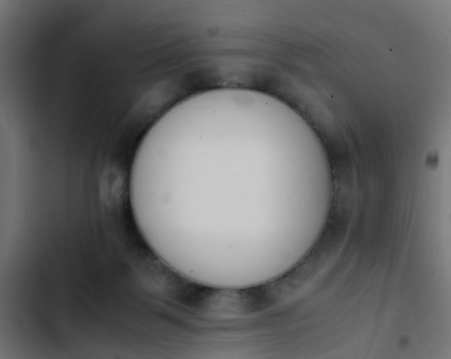 X0000103940123200809261734