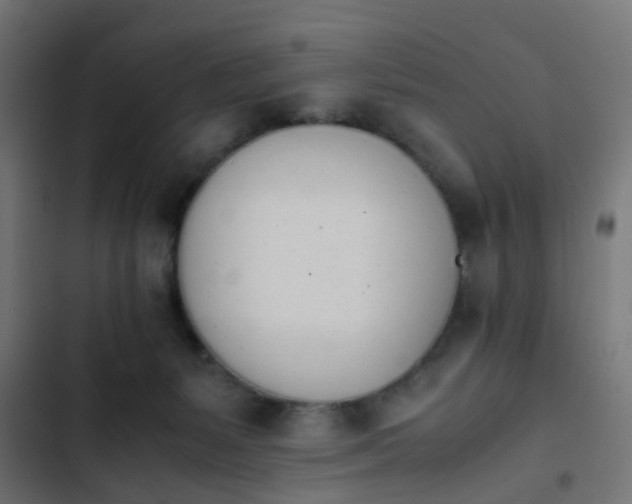 X0000103940127200809261734