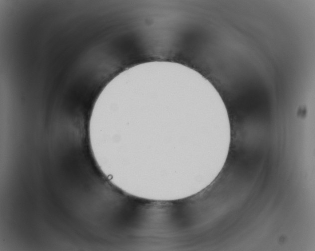 X0000103940128200809261734