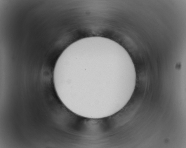 X0000103940129200809261734