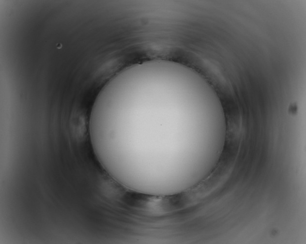 X0000103940130200809261734