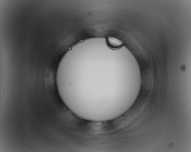 X0000103940131200809261734